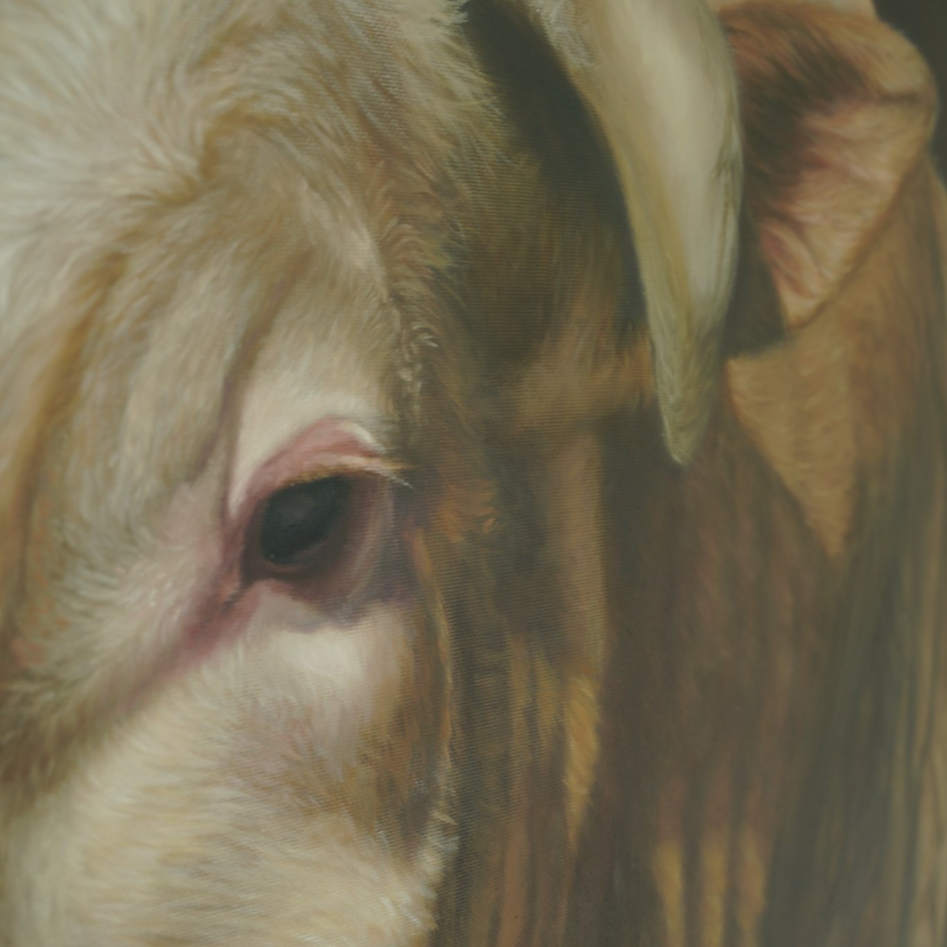 Studio detail — The Bull