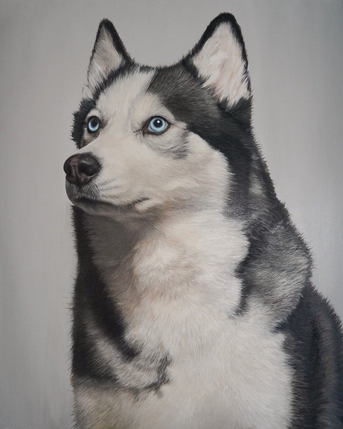 Blue Witness — husky commission portrait by Elana Kamaeva