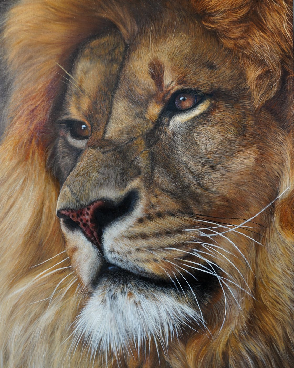 Sovereign Gaze — lion portrait oil painting by Elana Kamaeva