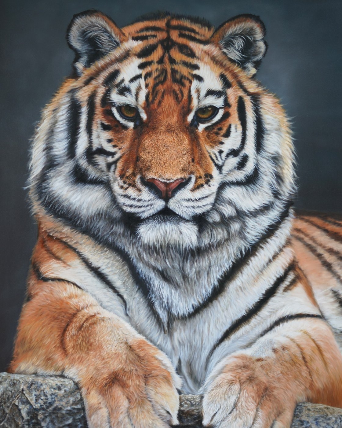 Tiger — oil painting by Elana Kamaeva